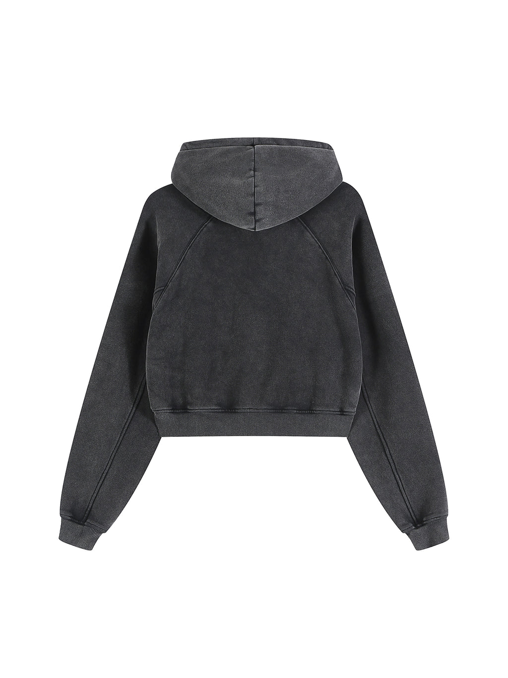 Snow Washed Cropped Hoodie